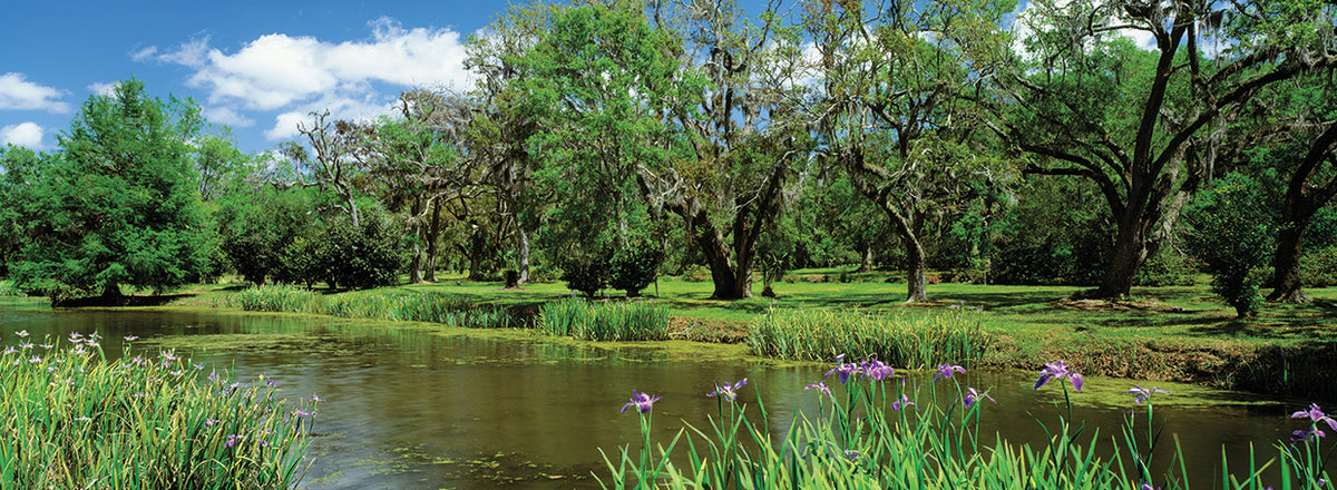 Avery Island Gardens