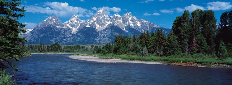 Río serpiente Grand Teton Lienzo
