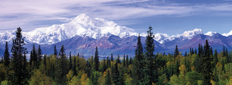 Desfile del pico Denali Lienzo