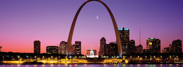 Saint Louis Cityscape