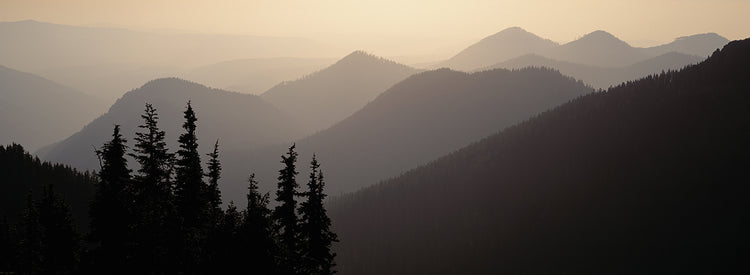 Picos del parque de Washington Lienzo