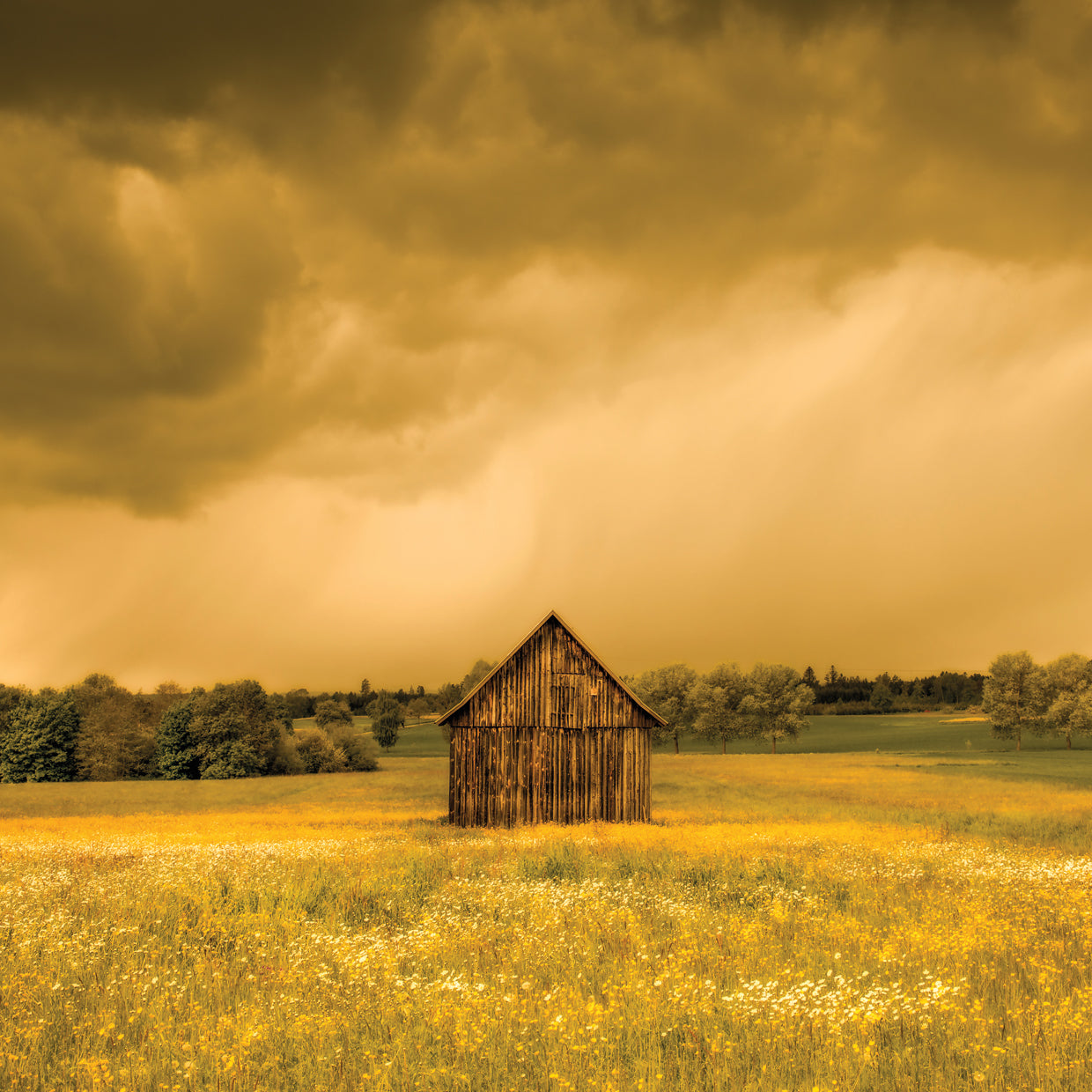 Wildflower Barn Germany