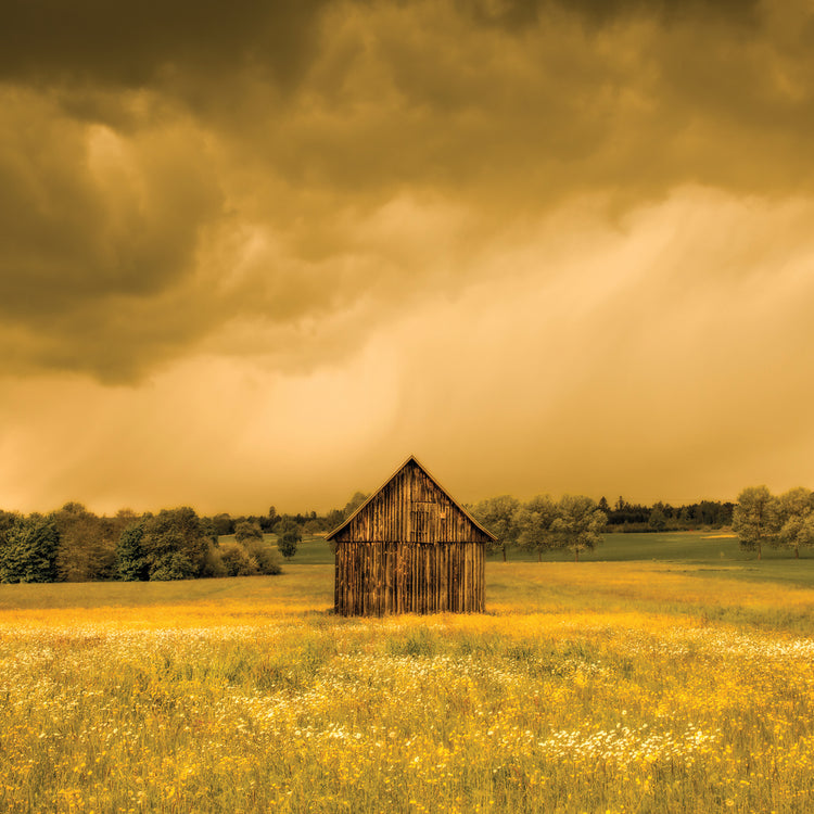 Wildflower Barn Germany