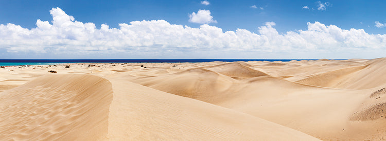 Dunas de arena de Isla Lienzo