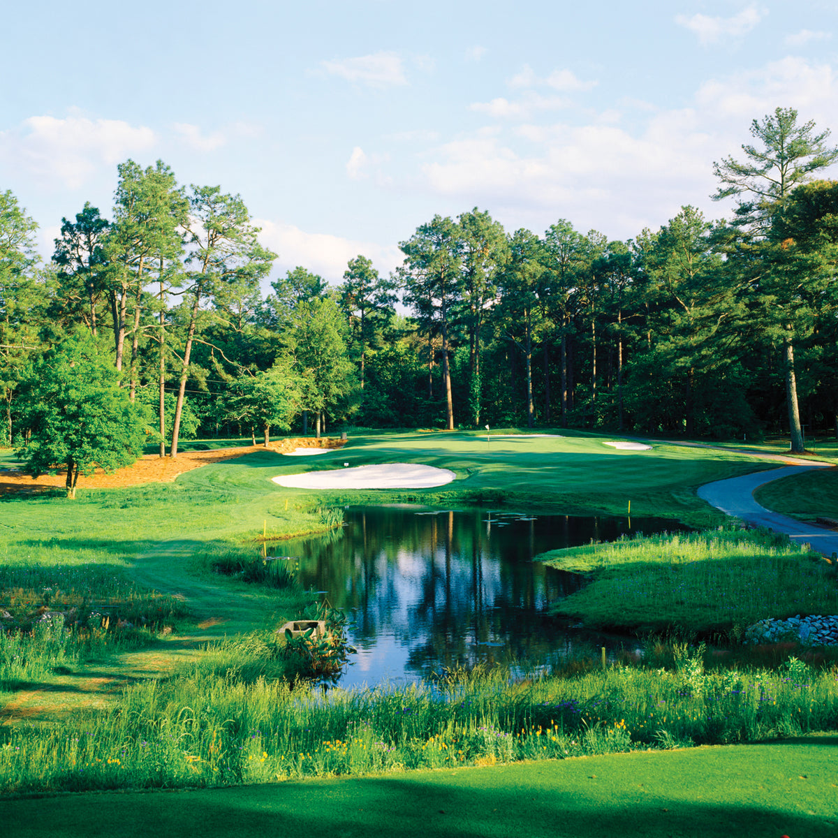Pine Needles Golf Course