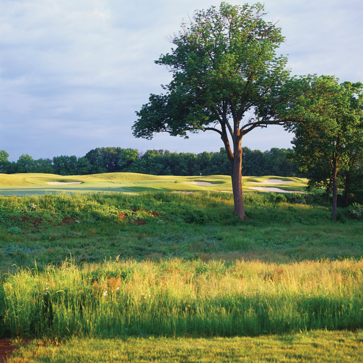 Heron Glen Golf Club