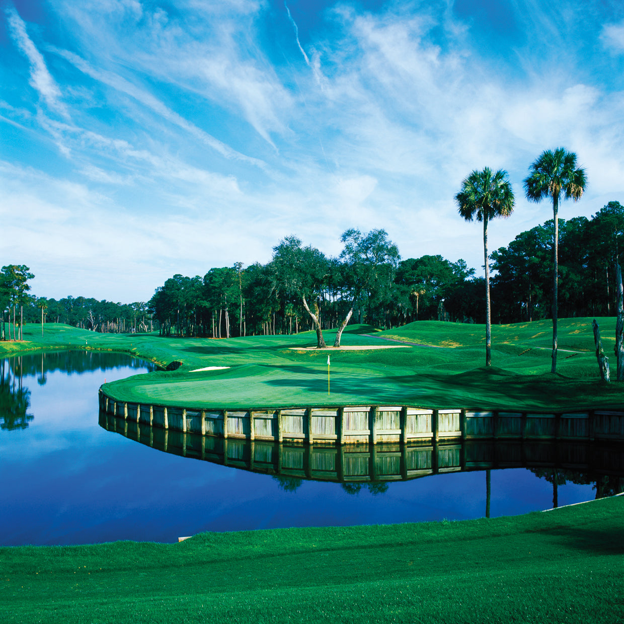 Campo de golf TPC Sawgrass Lienzo