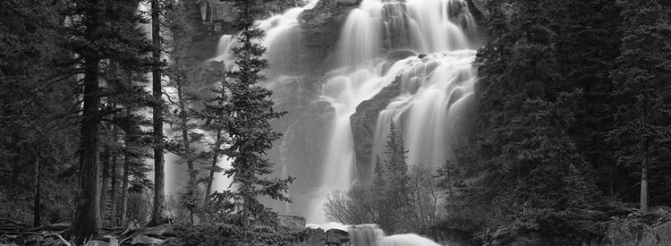Banff Forest Waterfall