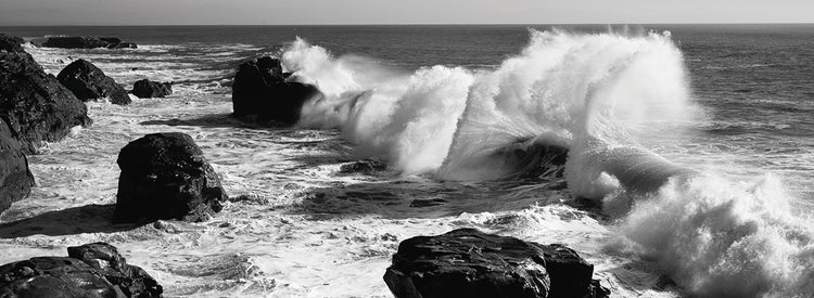 Costa de Santa Cruz Lienzo