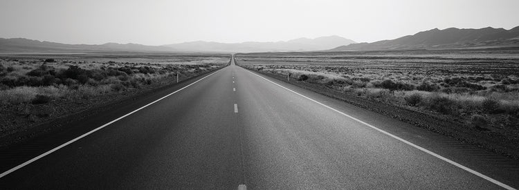Carretera larga del desierto Lienzo