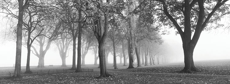 Parque de niebla de Lodong Lienzo