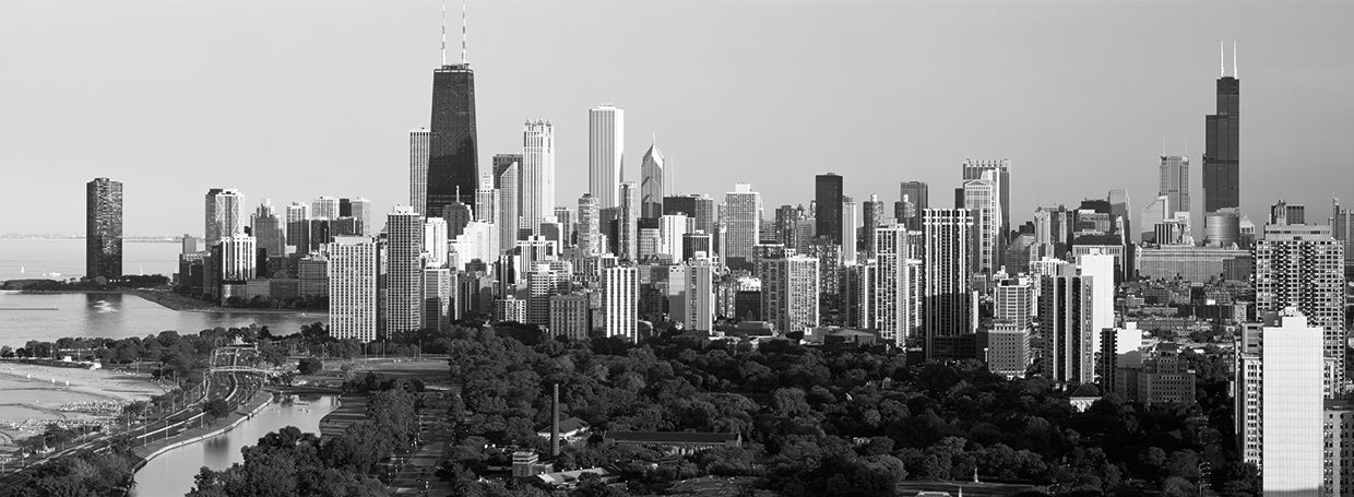 Puntos de referencia de Chicago Lienzo