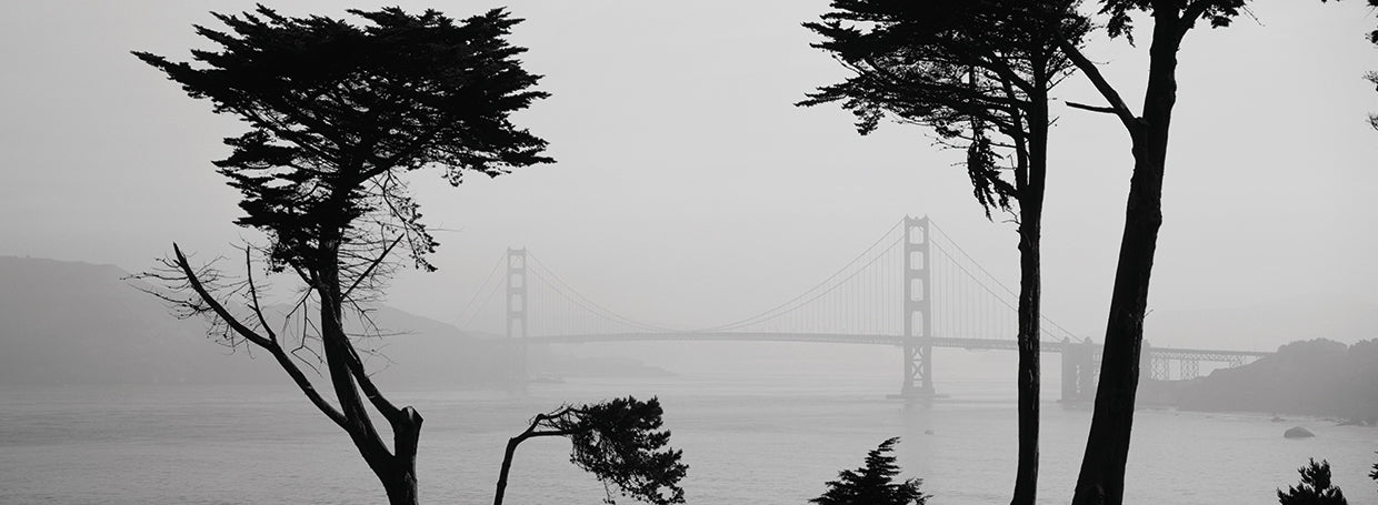 Golden Gate se desvanece Lienzo