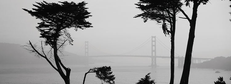 Golden Gate se desvanece Lienzo