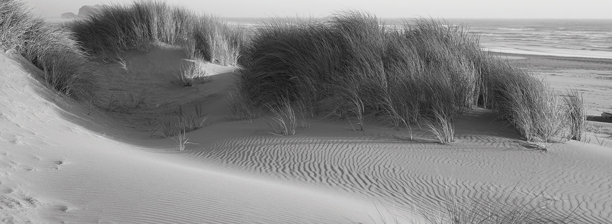 Bandon Park Océano Lienzo