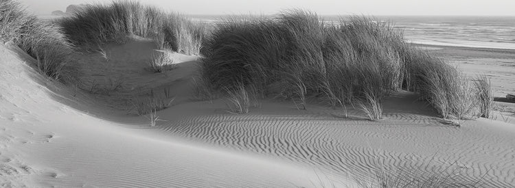 Bandon Park Océano Lienzo