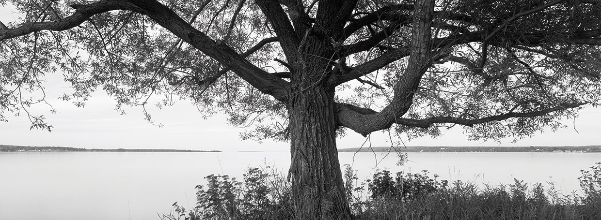 Orilla del lago de Wisconsin Lienzo