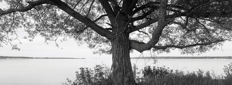 Orilla del lago de Wisconsin Lienzo