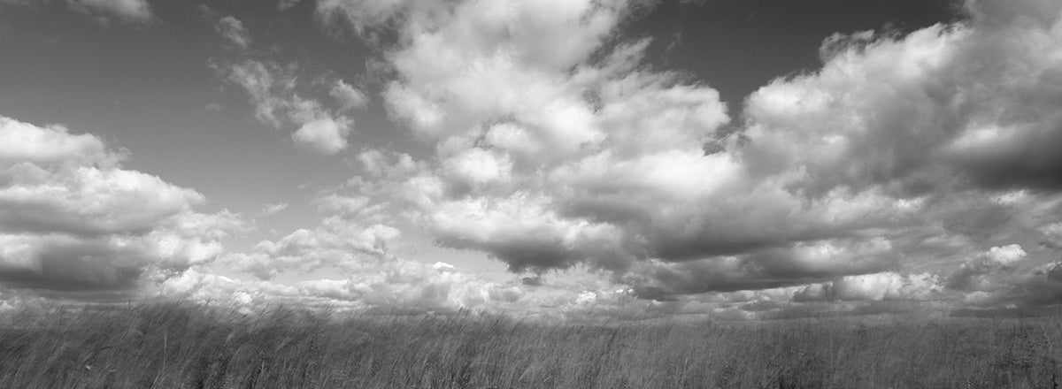American Prairie