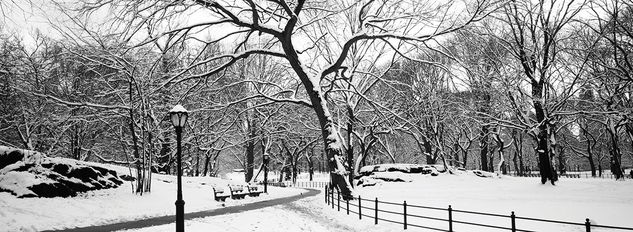 Central Park Invierno Lienzo
