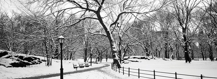 Central Park Invierno Lienzo