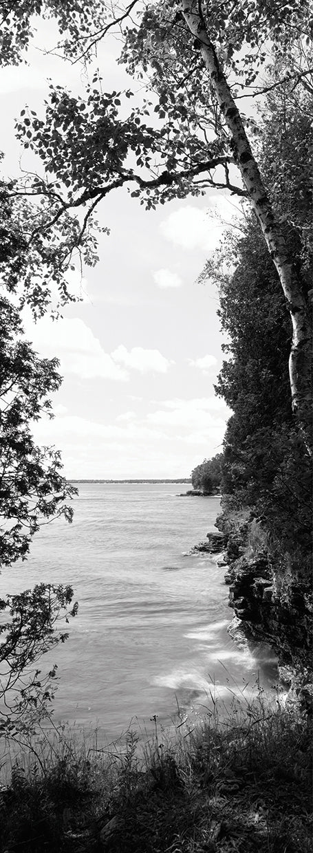 Junto al lago del condado de Door Lienzo