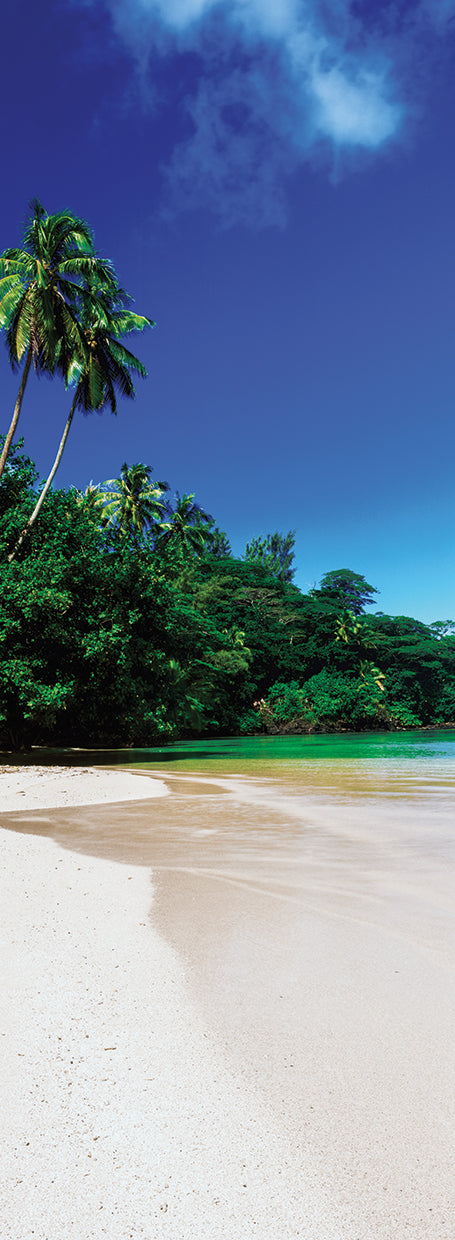 Palmas en el paraiso Lienzo