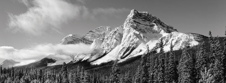 Invierno de las Montañas Rocosas canadienses Lienzo