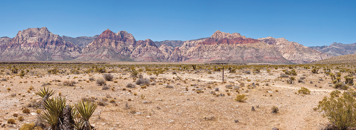 Desierto rocoso las vegas Lienzo