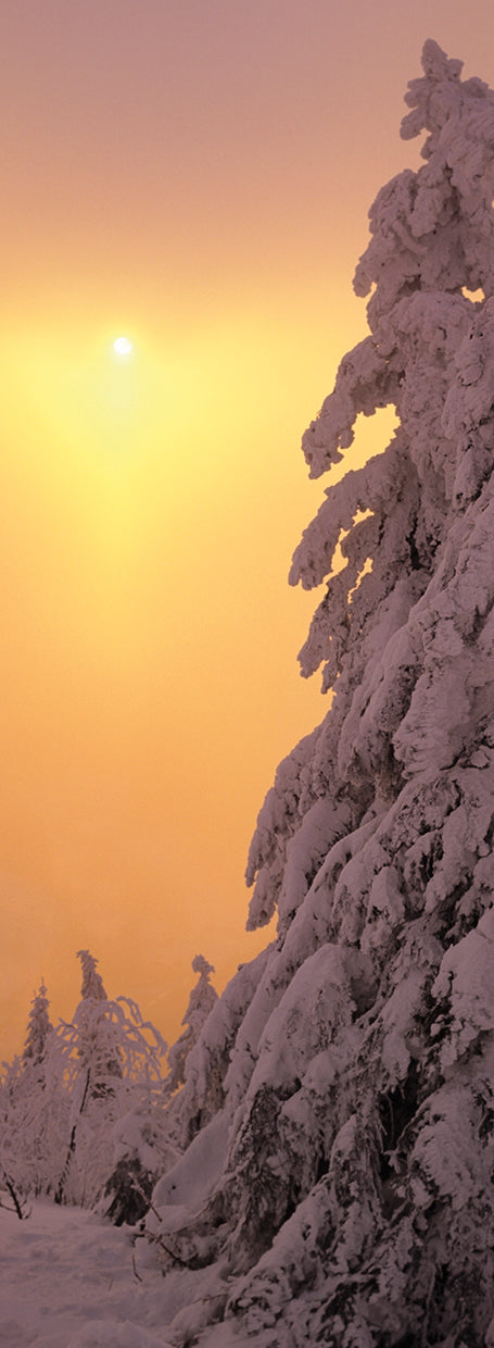 Frosty Winter Sunset