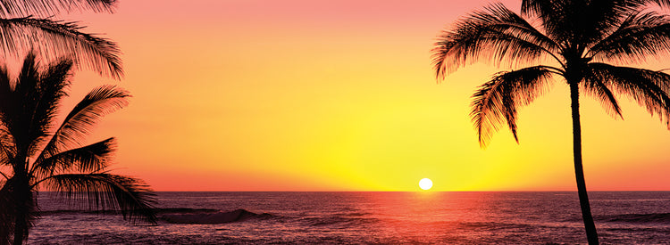 Aloha Pink Sunset