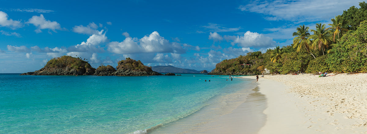 Trunk Bay Tropics
