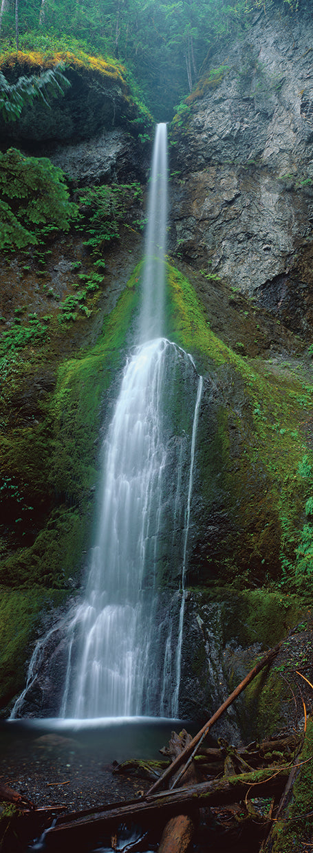 Cascada del bosque olímpico Lienzo