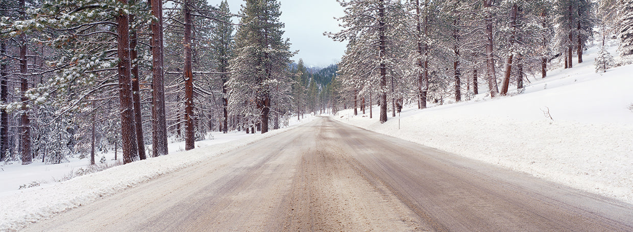 Camino del bosque nevado Lienzo