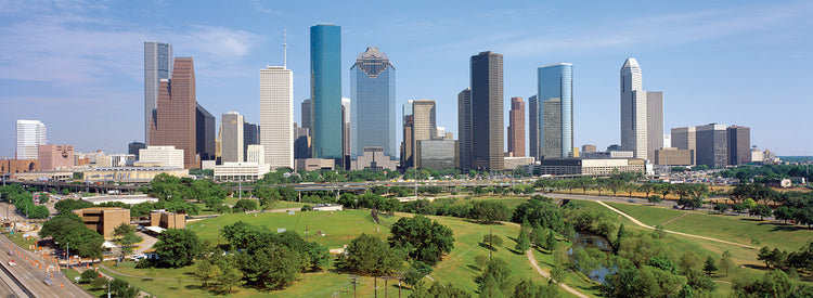 Horizonte del parque de Houston Lienzo