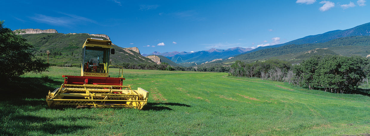 Colorado Farm Morning