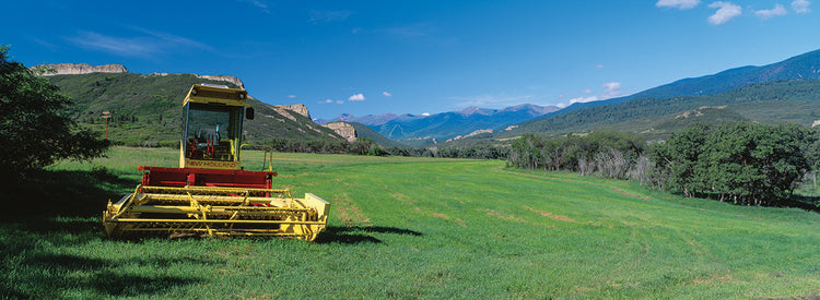 Colorado Farm Morning