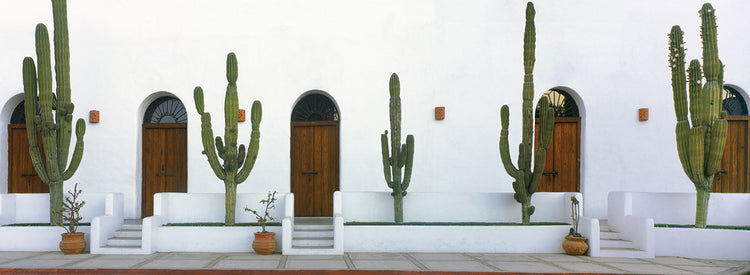 Puerta de Todos Lienzo