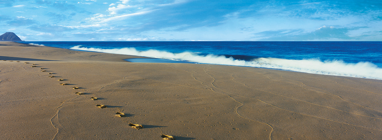 Huellas de playa Lienzo