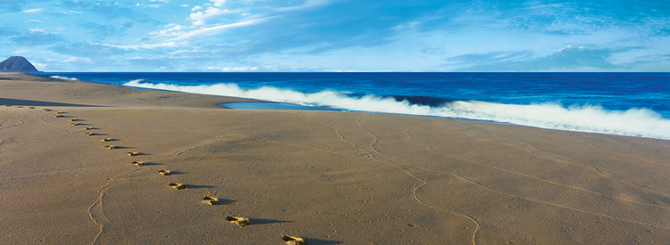 Huellas de playa Lienzo