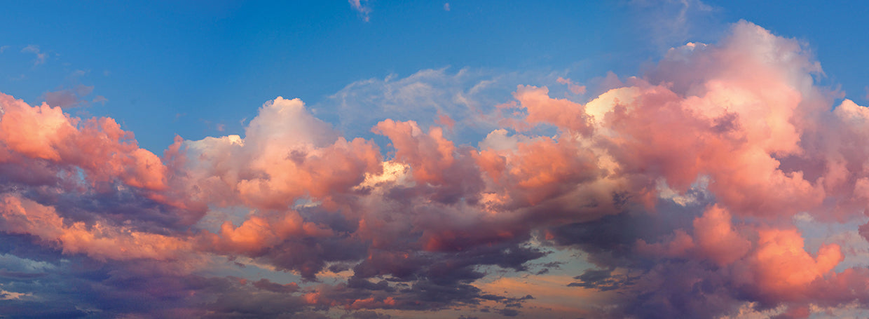 Nubes de rosas radiantes Lienzo