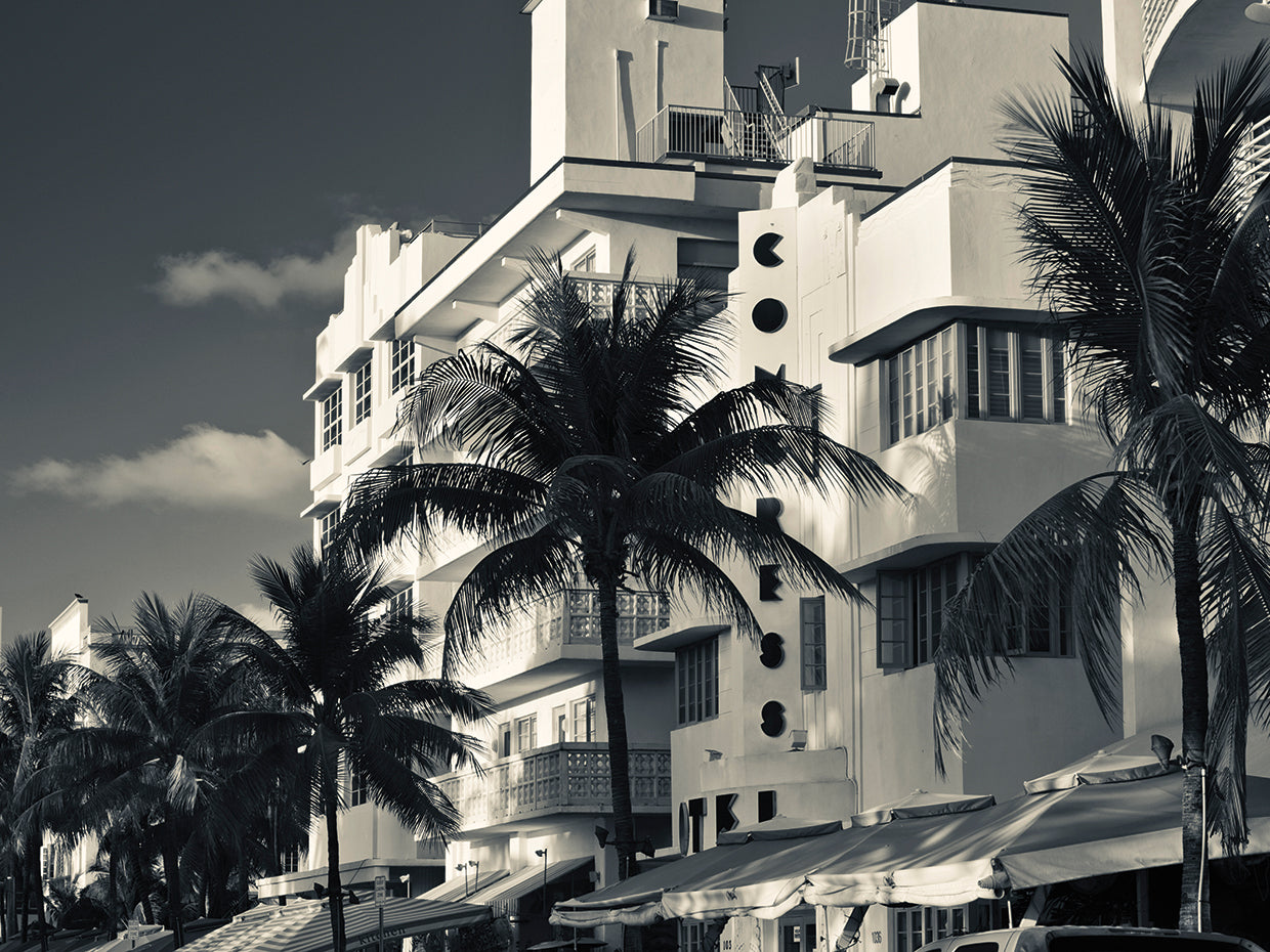 Palmas Art Deco Lienzo
