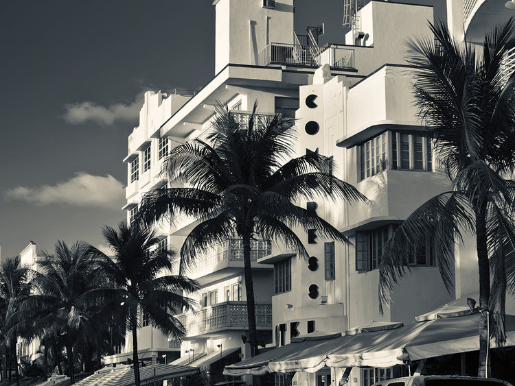 Palmas Art Deco Lienzo
