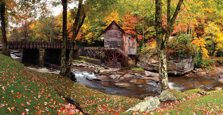 Country Autumn Mill