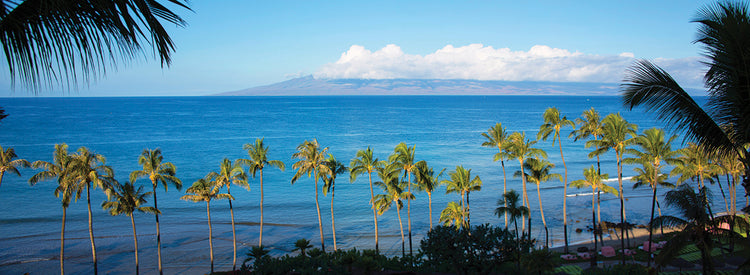 Brisas tropicales Maui Lienzo