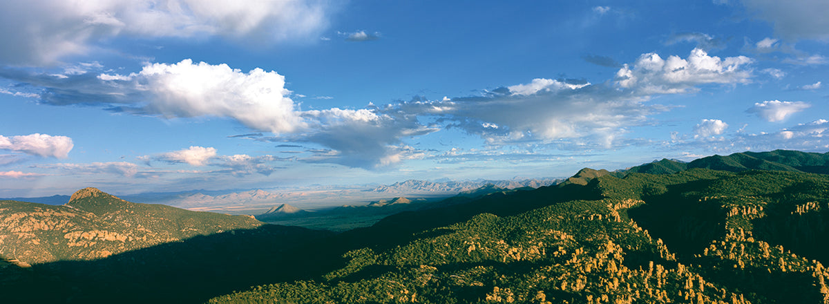 Arizona Park Vista