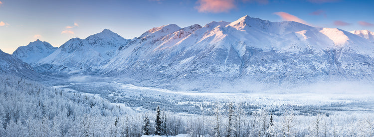 Pico del oso polar Alaska Lienzo