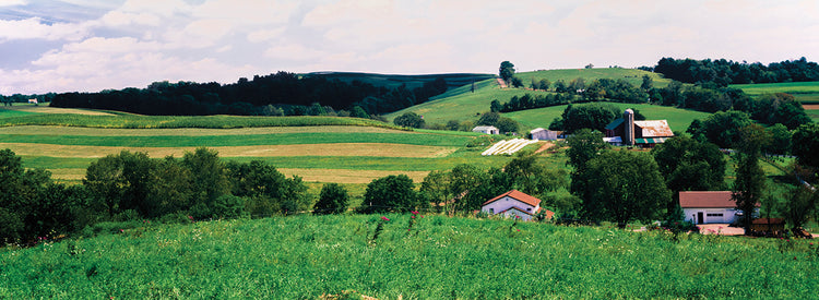 Amish Country Farm