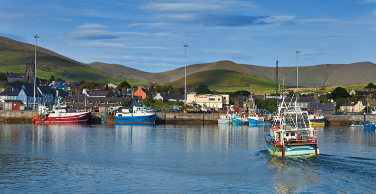 Puerto pesquero irlandés Lienzo