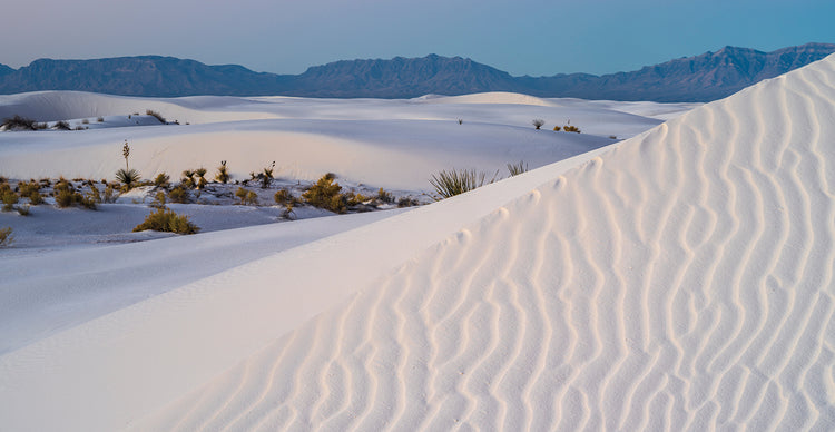 Dunas y yuca Lienzo